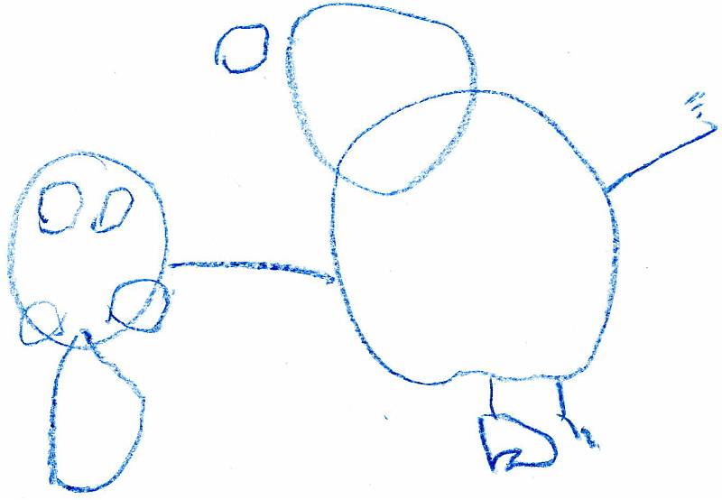 elefant 1003.jpg